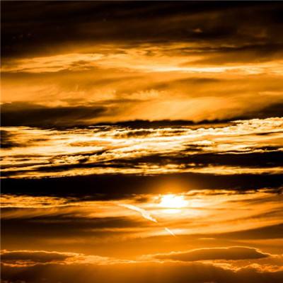 BB贝博平台登录app手机app下载