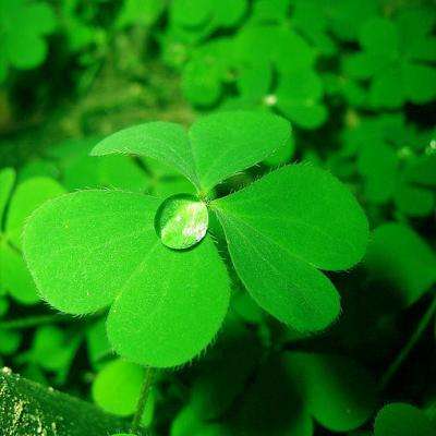 乐发app下载安装官网